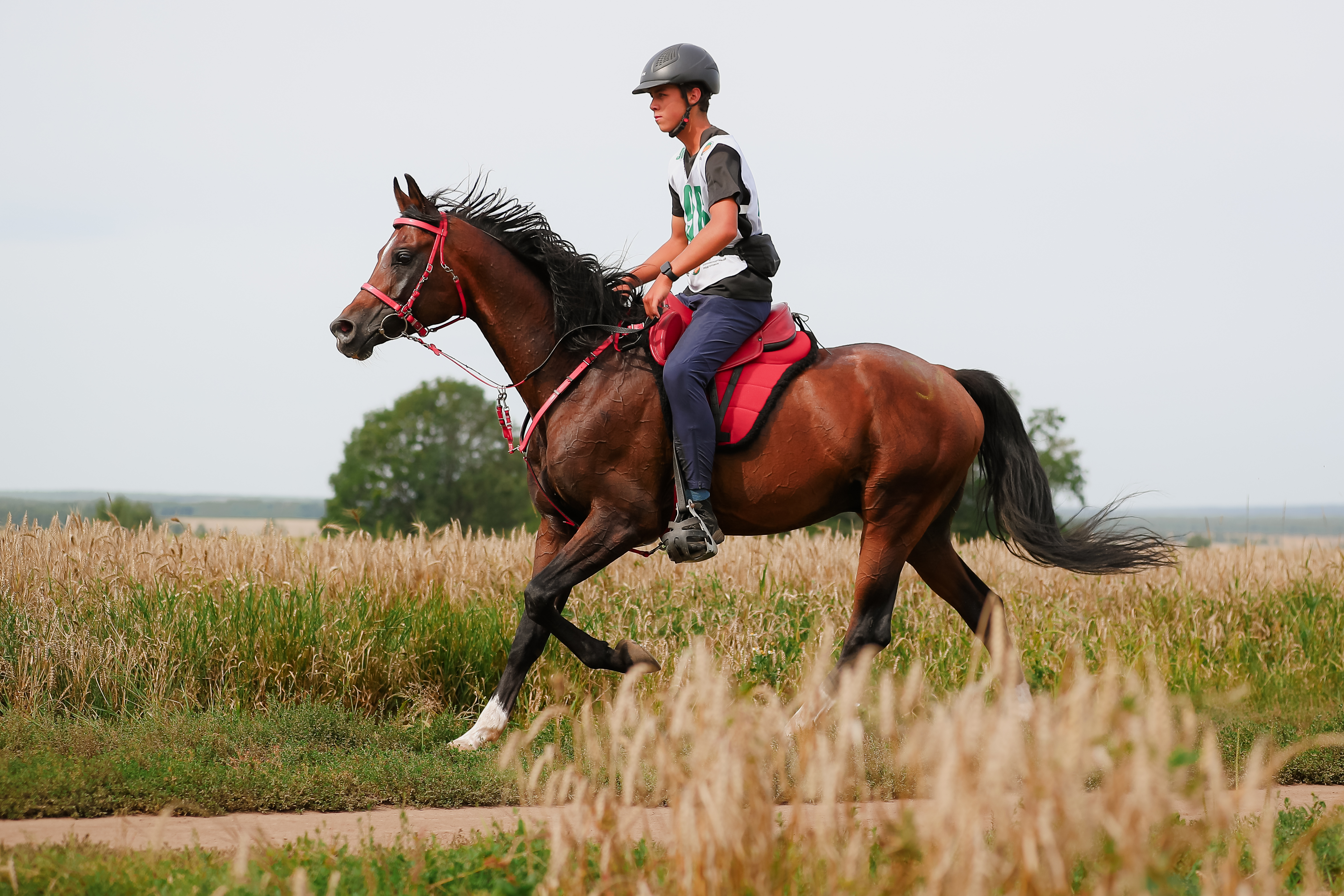 Tersk Endurance Team