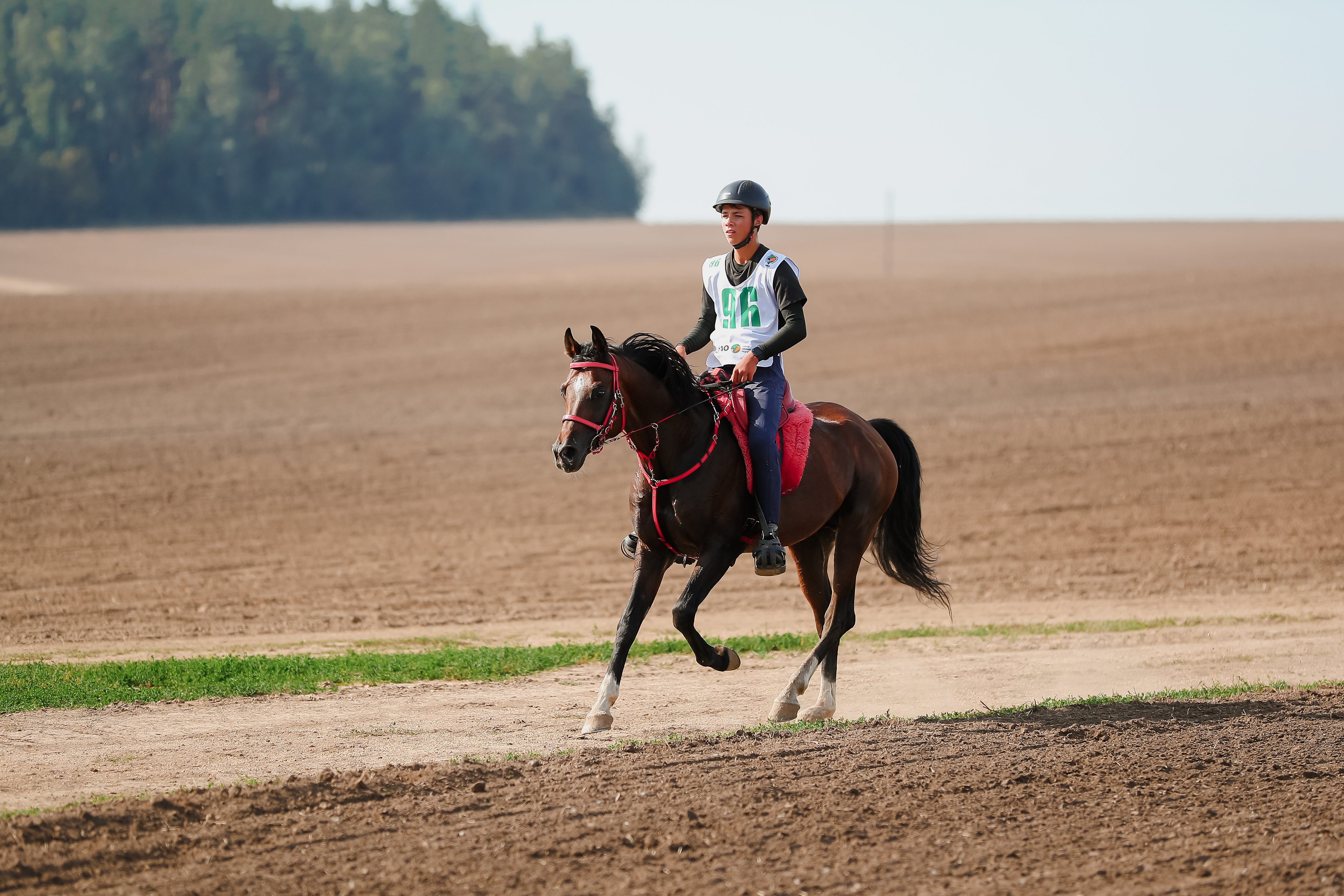 Tersk Endurance Team