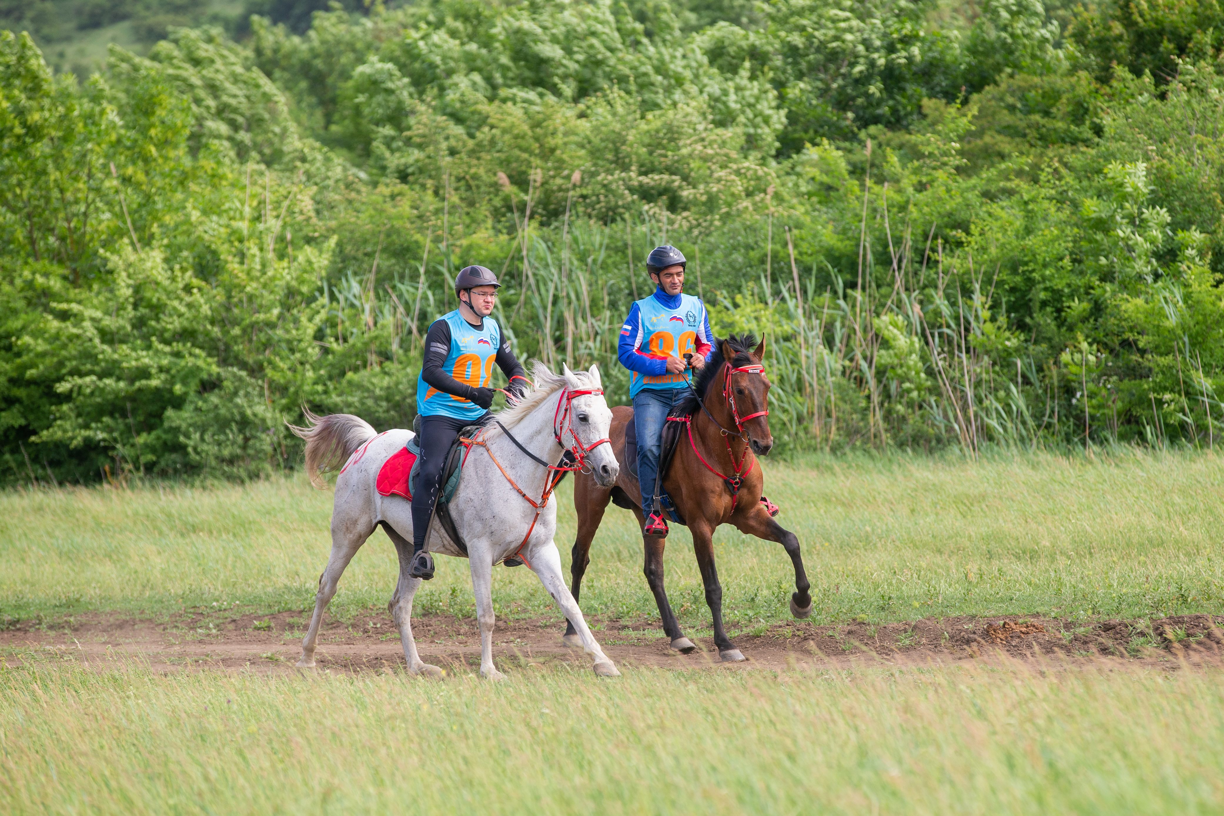 Tersk Endurance Team