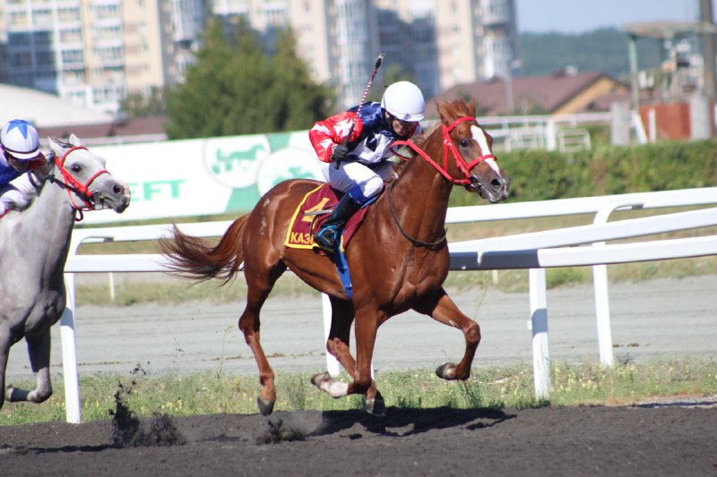 12.08.2022 — Большой Казанский Приз — DERBY GR I A RUS (Казанский Ипподром) — Буревестник Терск — 1 место