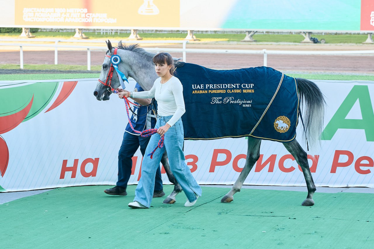 30.08.2024 — Приз Президента ОАЭ (Казанский Ипподром) — Панацея Терск — 1 место