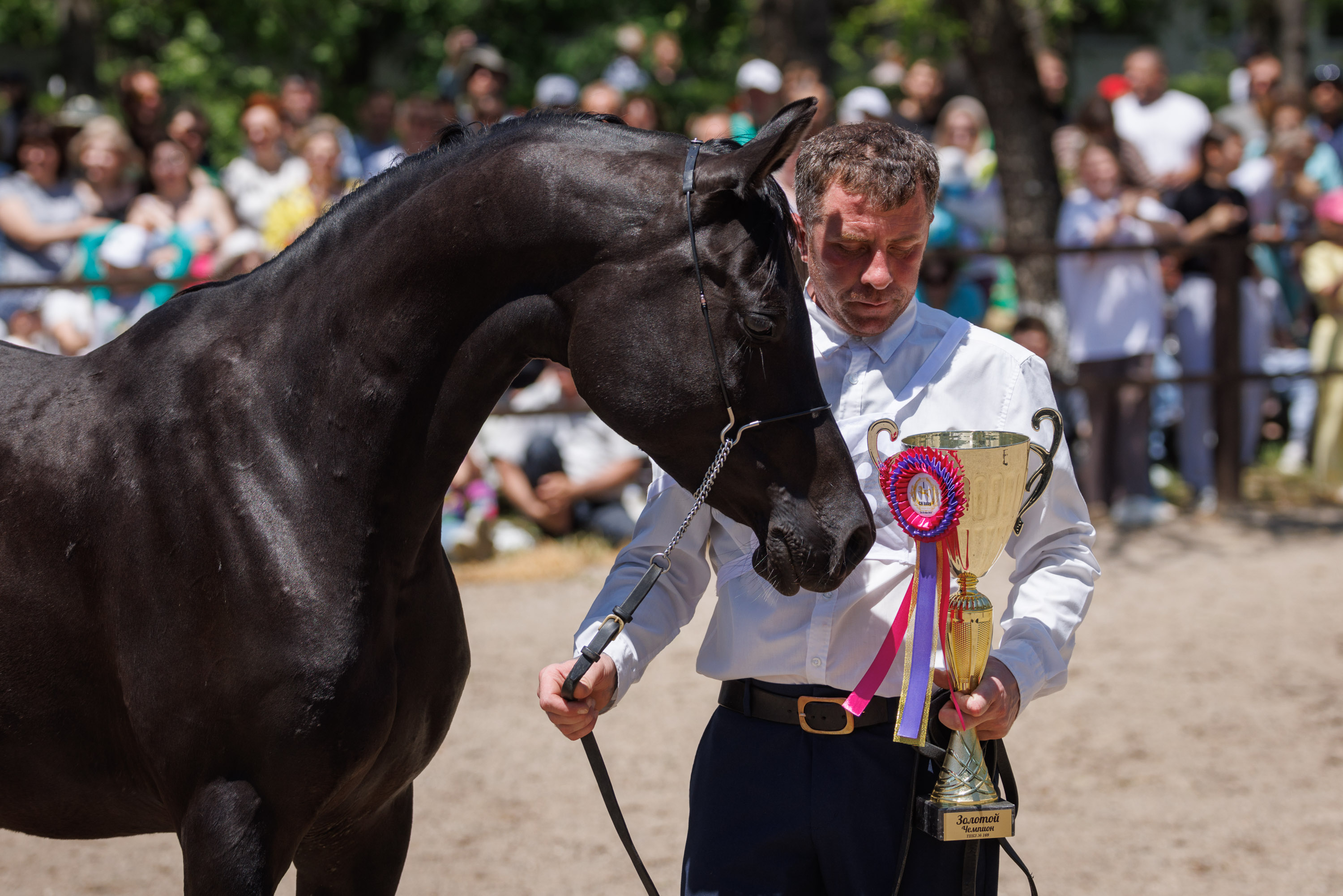 Арабское шоу