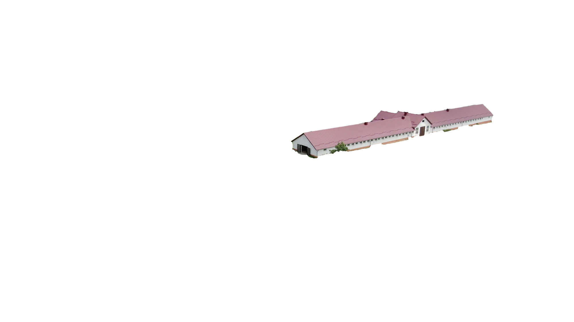 Племенные кобылы