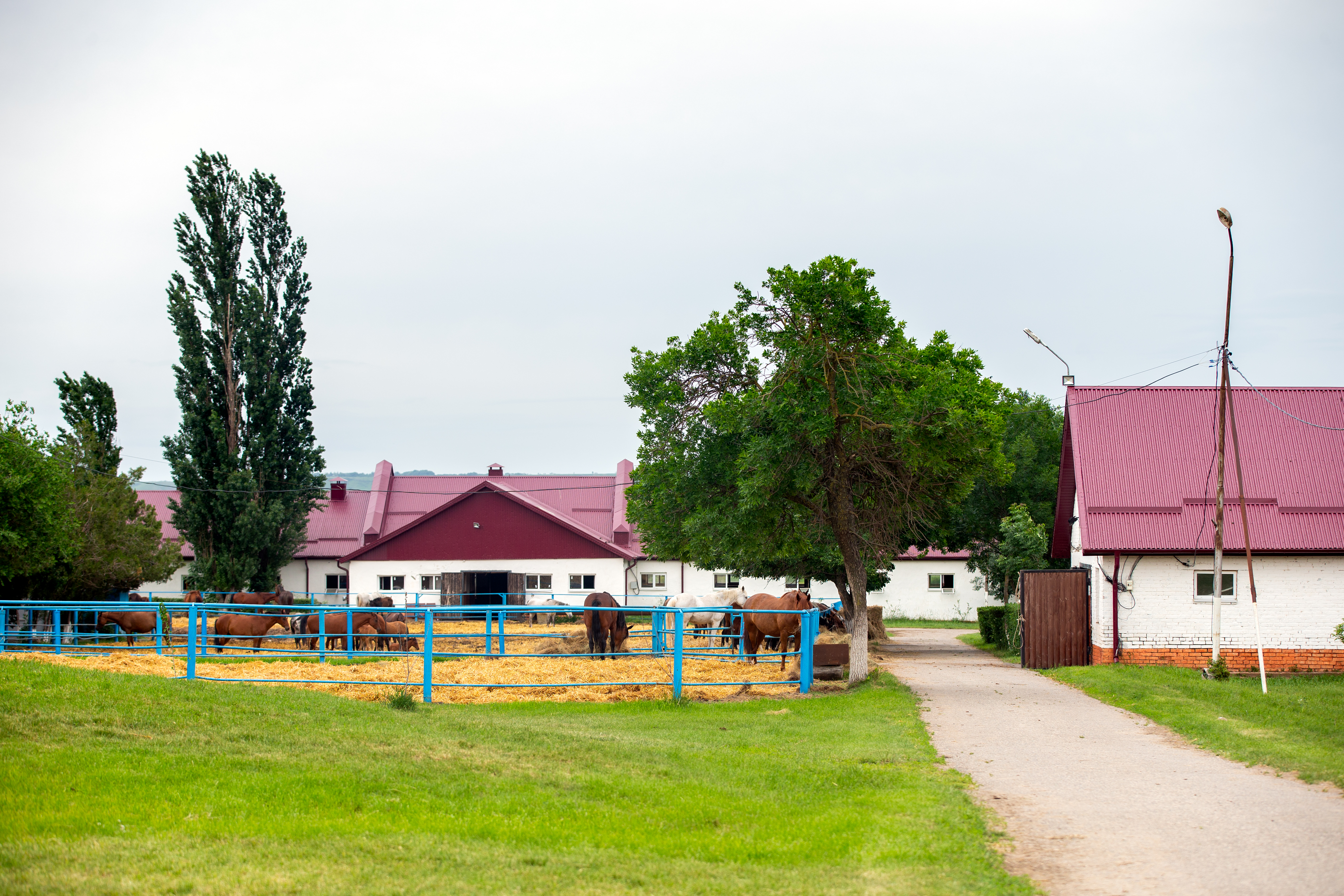 Видеонаблюдение