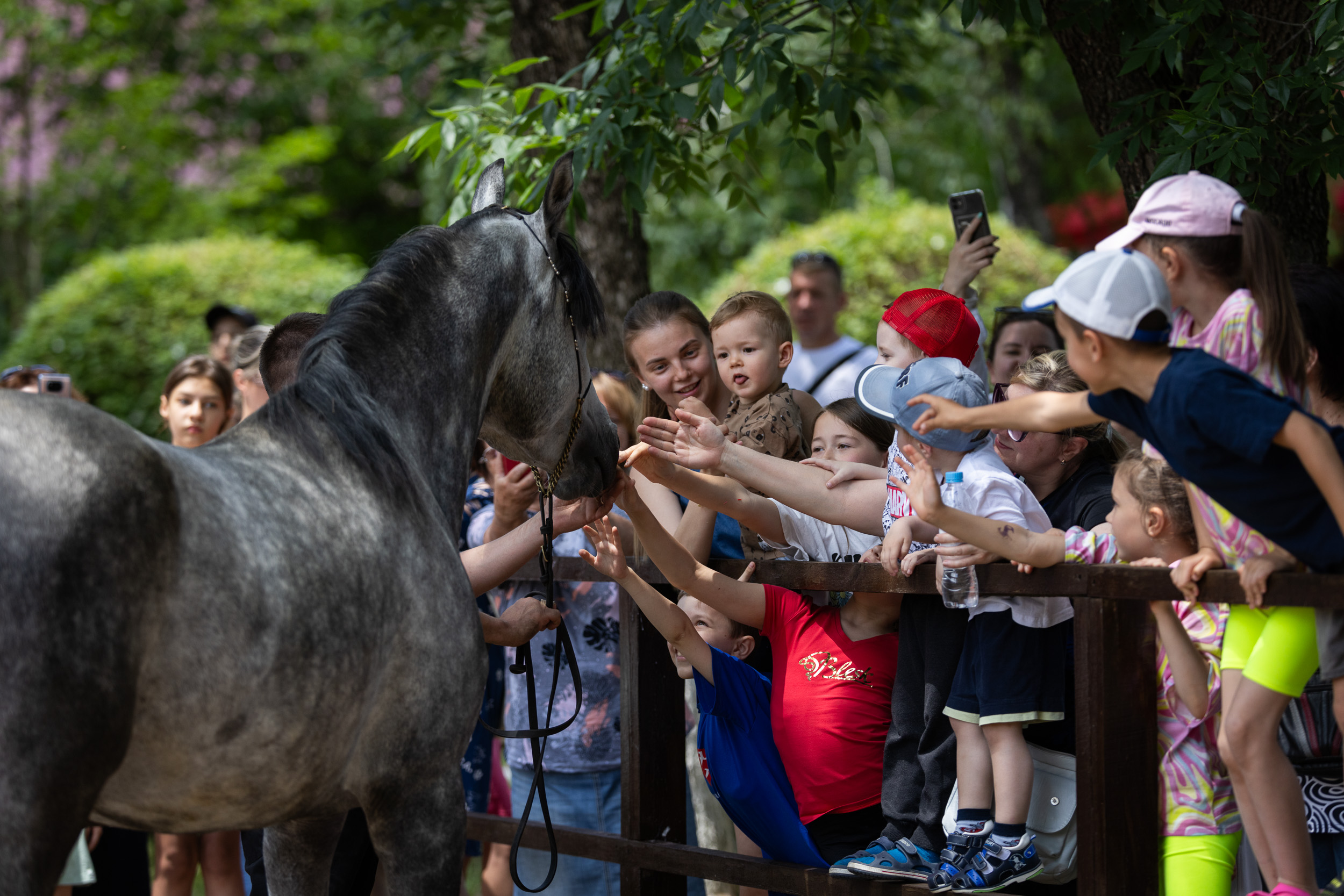 Индивидуальные и групповые экскурсии